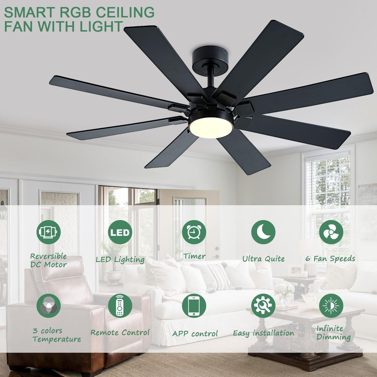 Ceiling Fan